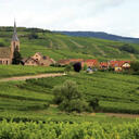 Alsace wine region